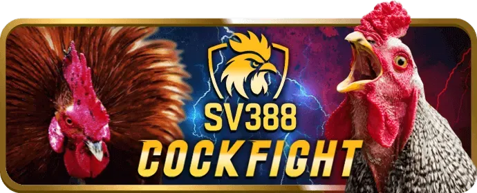 Bảo vệ người chơi q99